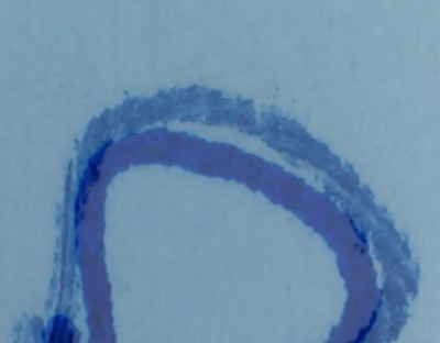 Imagen del artículo